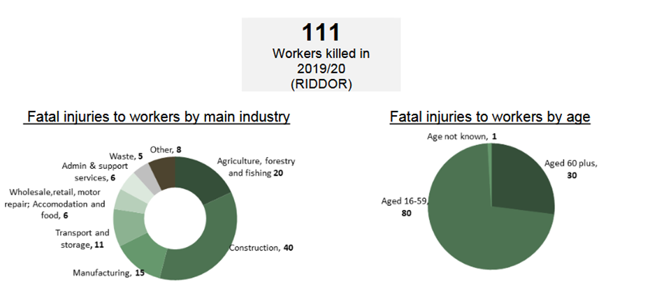 Fatalities by Sector