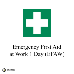 Emergency First Aid at Work 1 Day Course