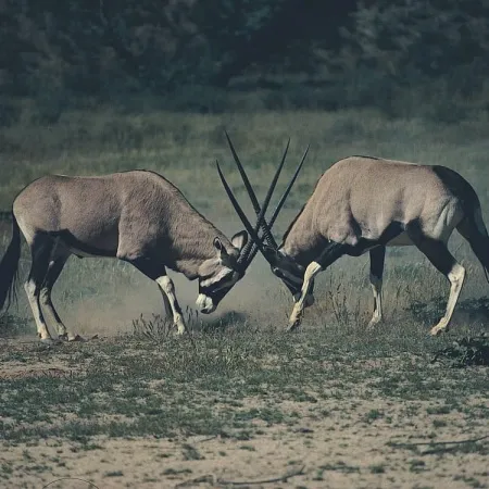 Book Your Conflict Resolution in the Workplace Course here.